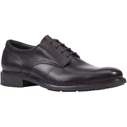 Schnürschuh GEOX, Herren, Gr. 43, schwarz, Leder, klassisch, Schuhe, Anzugschuh mit zusätzlichem Gummizug für bequeme Passform