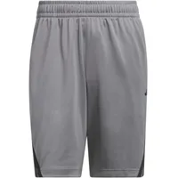 adidas Legends 3-Streifen Shorts Grau/Schwarz S
