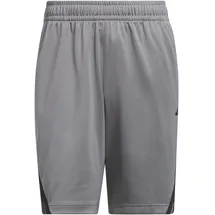 adidas Legends 3-Streifen Shorts Grau/Schwarz S