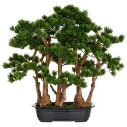 Kunstbonsai CREATIV GREEN "Bonsai Kiefer", grün, B:60cm H:60cm, Kunststoff, Kunstpflanzen, mit detailgetreuer Gestaltung