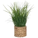 Atmosphera Créateur d'intérieur Künstliches Gras Im Topf Aus Wasserhyazinthe, H. 70 Cm