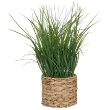 Atmosphera Créateur d'intérieur Künstliches Gras Im Topf Aus Wasserhyazinthe, H. 70 Cm