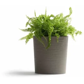 Siena Garden Lens Ø 25 x 25,5 cm grau