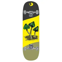 Best Sporting Skateboard Arts, Mushrooms