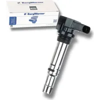 BorgWarner (Beru) (BERU) Zündspule ZSE030