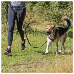 Trixie Bauchgurt mit Leine für mittelgroße und große Hunde
