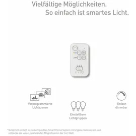 Müller-Licht tint Fernbedienung Remote Control