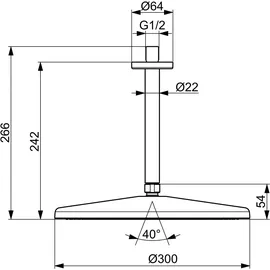 Hansa Aurelia Kopfbrause (4727030080)