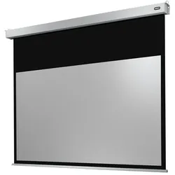 celexon Leinwand Motor Professional Plus 300 x 169 cm