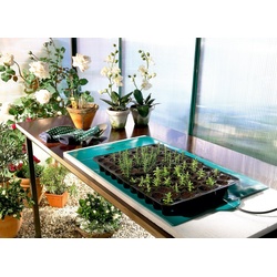 Bio Green Anzuchttopf Wärmematte für Pflanzen grün 65 cm