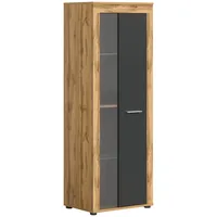 Xonox.home Vitrine Glasvitrine Dekoschrank Glas-Kommode Stauraumschrank in Front grau