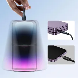 Joyroom USB-C auf Lightning 0,25 m Schwarz