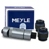 Meyle Reparatursatz, Achsschenkel