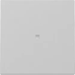 GIRA Wippe 3290015 Kontrollf. - neue Generation