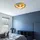 ETC Shop Kinder Zimmer Decken Beleuchtung Glas Lampenschirm Katzen Motive im Set inklusive Led Leuchtmittel