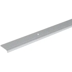 Alberts, Treppenkanten-Schutzprofil, 2 m, Alu, Silber eloxiert, 23 x 6 x 2 mm