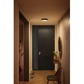 Philips Hue White Ambiance Enrave S schwarz