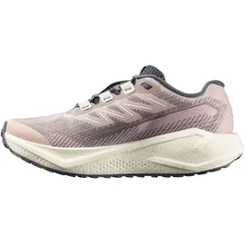 Salomon Aero Blaze 3 Damen Grau/Silber 42,5