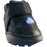 Easyboot Cloud (1)