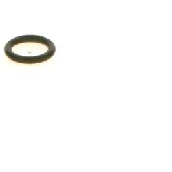 BOSCH Dichtring 1 410 210 051 0219977548,A0219977548