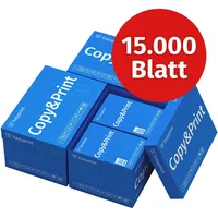 Easyprint Druckerpapier Kopierpapier 15000 Blatt 30 x 500) A4