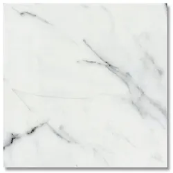 Musterfliese Belvit Genova Marmor Glanz 60x60cm