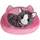 Zapf Creation BABY born Meine Katze Cookie mit Box