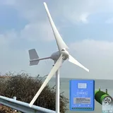 2000W Windkraftanlage 12V 24V 48V horizontaler Windgenerator mit Hybrid MPPT Laderegler Windturbine für Home Windmühle (24V mit Hybrid Regler)