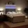 vidaXL Boxspringbett 140 x 200 cm Hellgrau