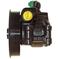 Lizarte Servopumpe für Ford KA
