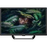 Strong SRT24HE4023C 24" LED HD TV