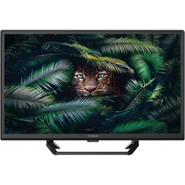 Strong SRT24HE4023C 24" LED HD TV