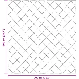 vidaXL Winterbettdecke Schwarz und Anthrazit 200 x 200 cm Mikrofaser