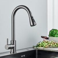 Grau Küchenarmatur Ausziehbar mit Brause 360° Spültischarmatur Küche Wasserhahn