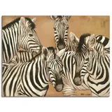 ARTland Wandbild »Zebras«, Wildtiere, (1 St.), als Leinwandbild, Poster in verschied. Größen, orange