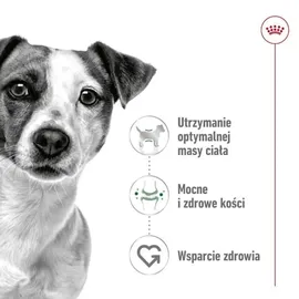 Royal Canin Mini Adult 8 kg