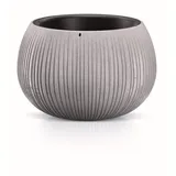 Prosperplast Beton Bowl