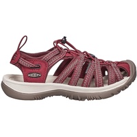 Keen Whisper red dahlia 41