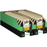 Sheba Schale Nassfutter für Katzen Nature's Collection in Sauce mit Truthahn 2 x 11 x 85g
