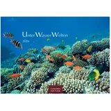 Casares Edition Unterwasserwelten Kalender 2026 – Wandkalender | Fotokalender Naturkalender 24x35cm – Atemberaubende Meereslandschaften & Korallenriffe.