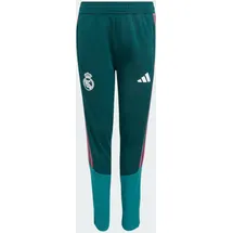 adidas Tiro26 Competition Jogginghose Aurora Ivy/Wild Pink 176