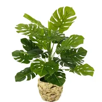 I.ge.a I.GE.A. Kunstpflanze Monstera im Wasserhyazinthentopf, ca. H46 cm,