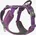 Harness Purple Passion XL