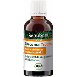 Hübner Curcuma Tropfen 20 ml