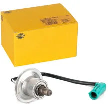Hella 6PA 358 103-251 geeignet für Ford