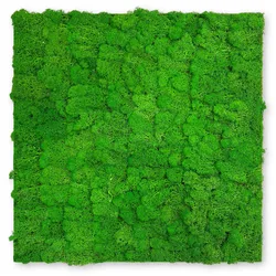 Wandpaneel MODULAR WALL