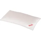 Paradies Softy Cool Bio Kissen (40x80 cm)