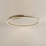 s.luce LED Ring Wandlampe & Deckenleuchte Dimmbar modern rund Aluminium / Ø 100cm
