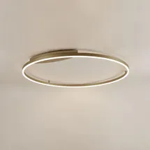 s.luce LED Ring Wandlampe & Deckenleuchte Dimmbar modern rund Aluminium / Ø 100cm