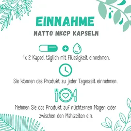 sinoplasan gmbh Natto Nkcp Pur 125 mg Kapseln 180 St.